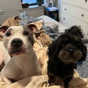 Meet your Posher, Sally